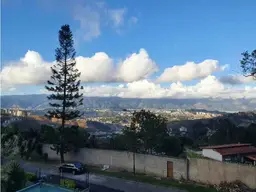 View 21