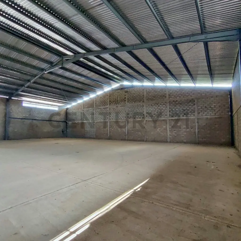 Alquiler de Galpones en Cond. Industrial Oasis Park - 7