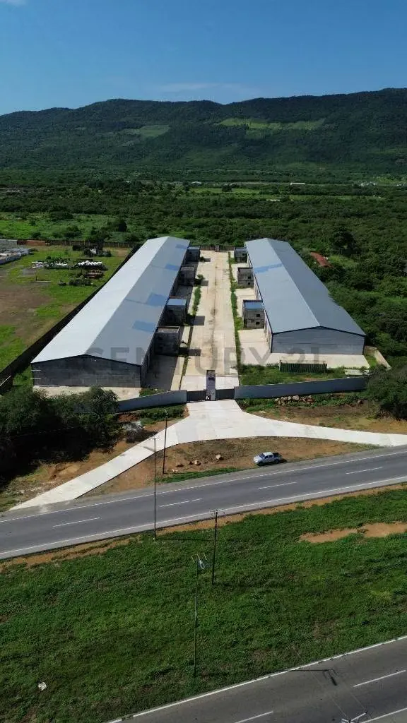 Alquiler de Galpones en Cond. Industrial Oasis Park - 9