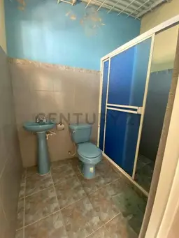 Vista 5