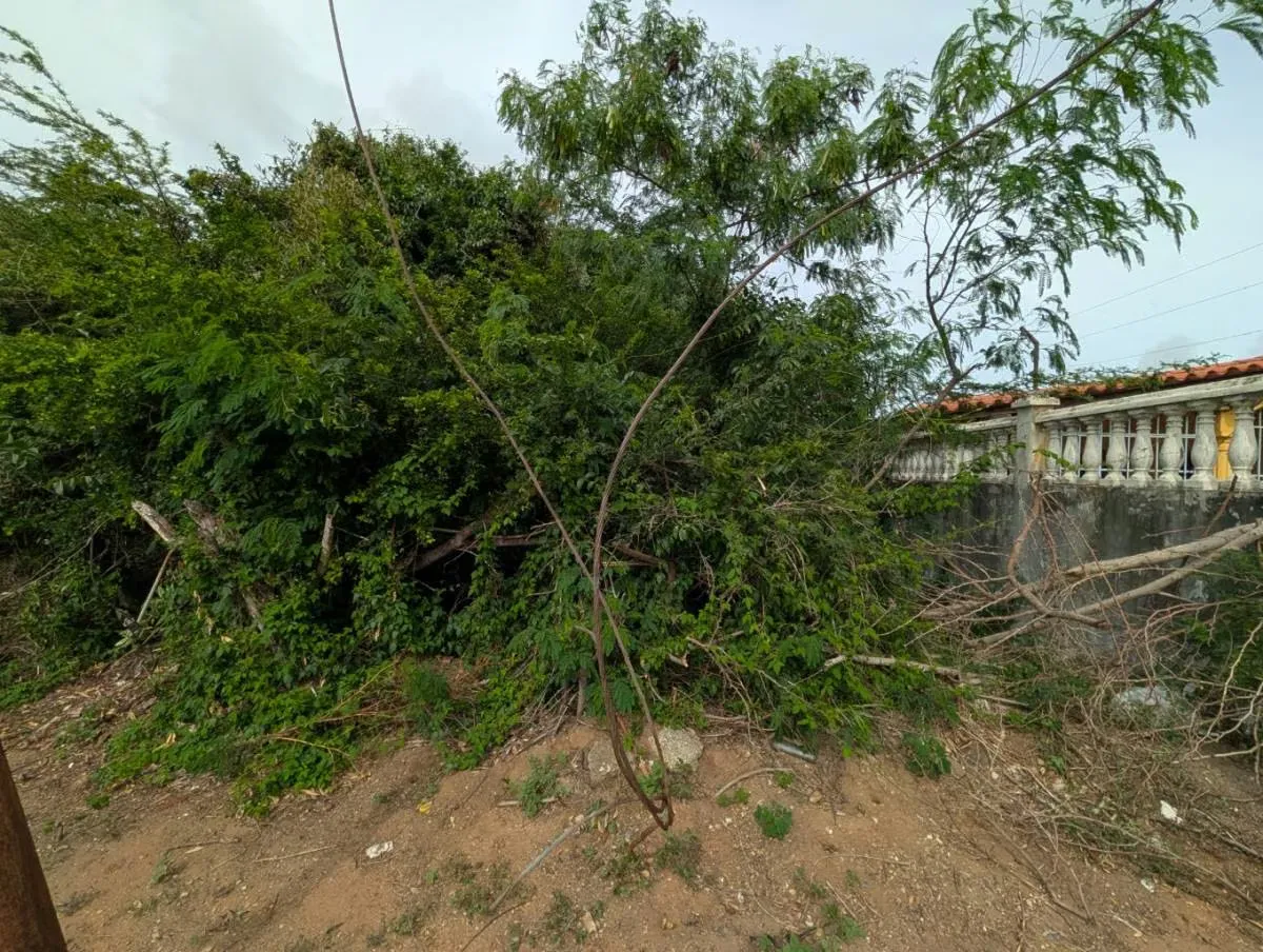 PARCELA DE TERRENO EN LA ASUNCION - 5
