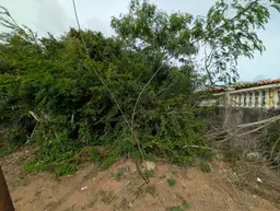 Vista 5