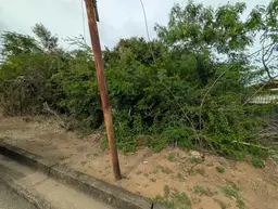Vista 6