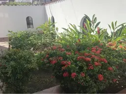 Vista 2