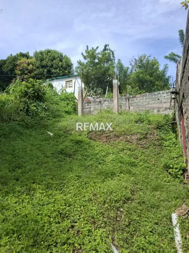 Ubicación: Sector La Laguna, Aldea Sucre, Vía Principal, Vía Transandina, Estado Táchira - 10