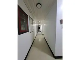 Vista 1