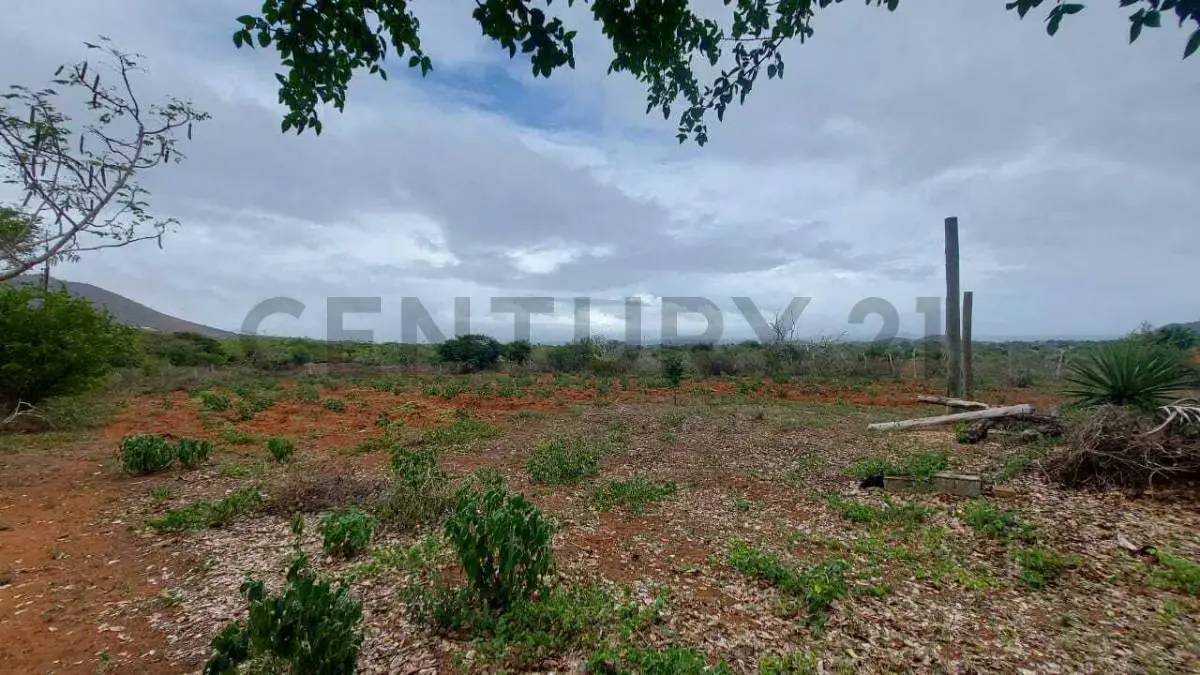 Terreno Agrícola con Casa ARICAGUA MARGARITA - 28