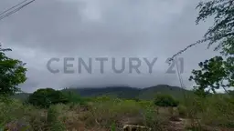 View 32