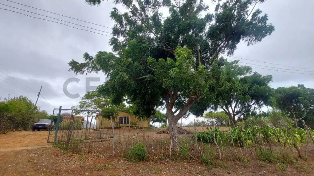 Terreno Agrícola con Casa ARICAGUA MARGARITA - 33