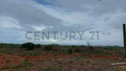 View 35