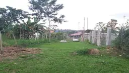 View 1