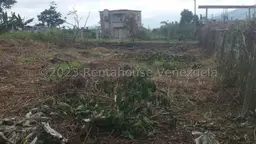 View 11