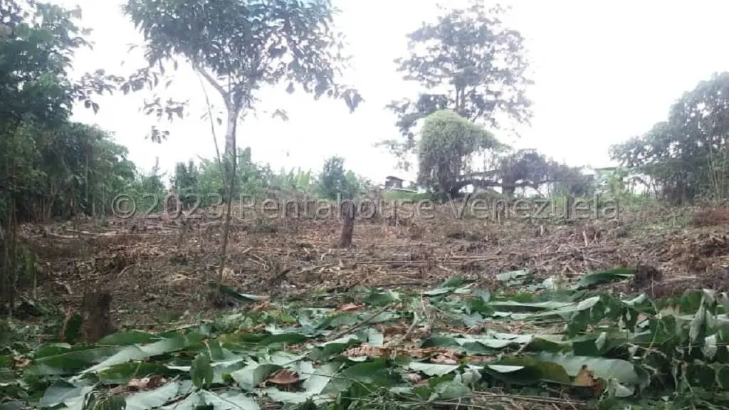 Terreno (Residencial) en Venta en Juan Diaz, Trujillo - 12