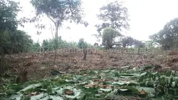 View 12