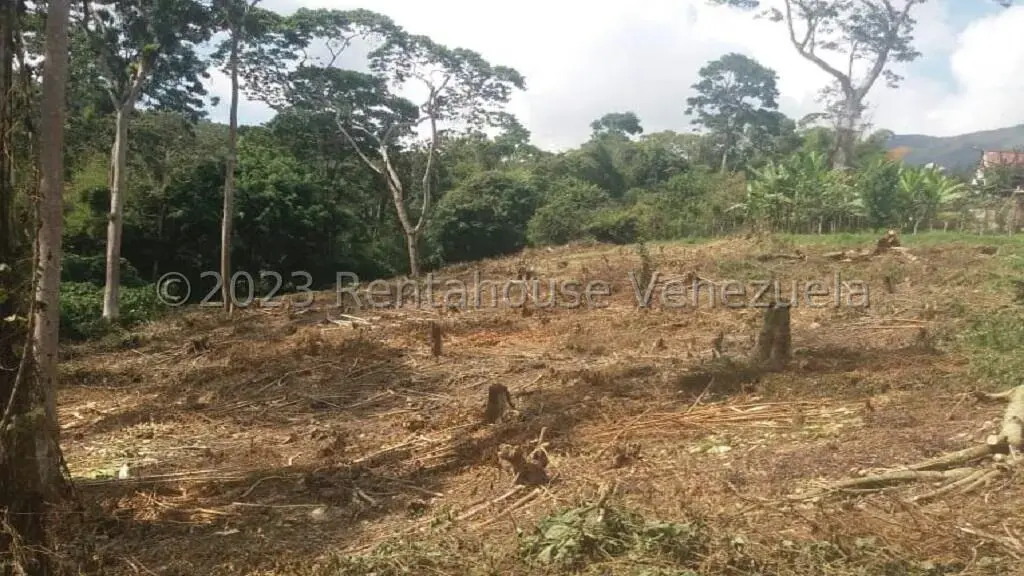 Terreno (Residencial) en Venta en Juan Diaz, Trujillo - 15