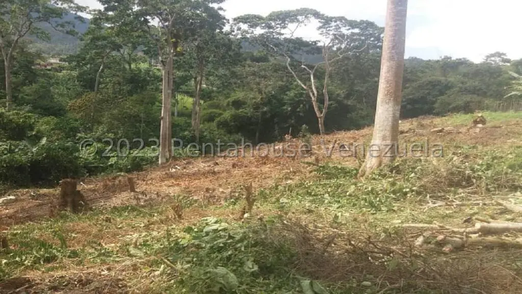 Terreno (Residencial) en Venta en Juan Diaz, Trujillo - 17