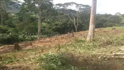 View 17
