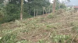 View 18