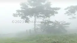 View 19