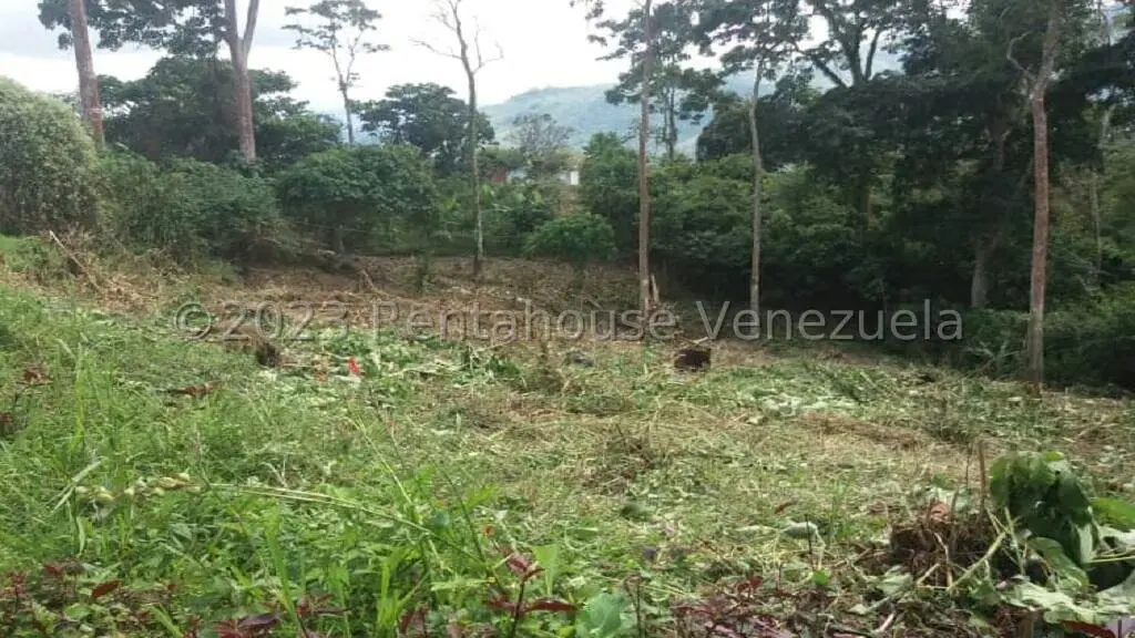 Terreno (Residencial) en Venta en Juan Diaz, Trujillo - 3