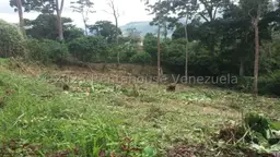 View 3