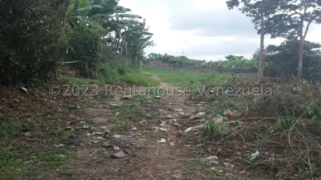 Terreno (Residencial) en Venta en Juan Diaz, Trujillo - 7