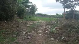 View 7