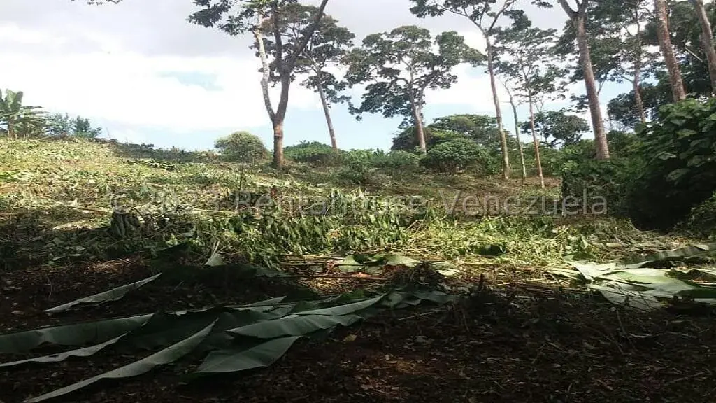 Terreno (Residencial) en Venta en Juan Diaz, Trujillo - 8
