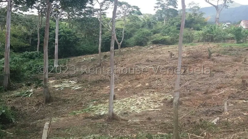 Terreno (Residencial) en Venta en Juan Diaz, Trujillo - 9