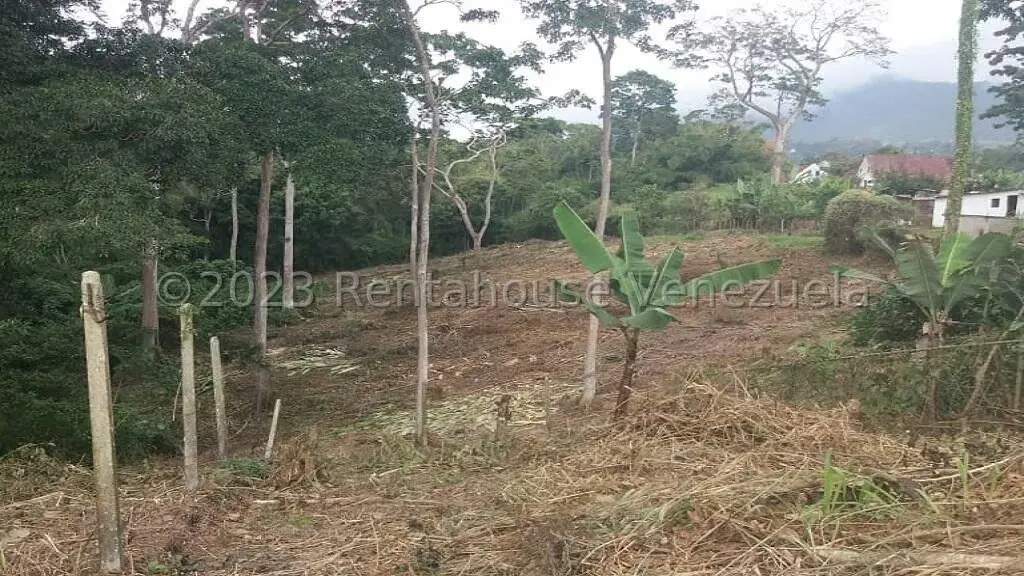 Terreno (Residencial) en Venta en Juan Diaz, Trujillo - 10