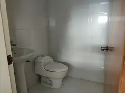 Vista 15