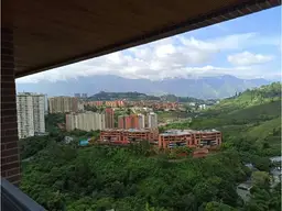 Vista 19