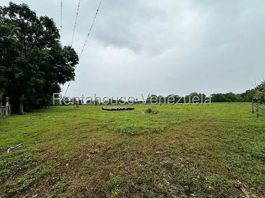 Terreno (Comercial) en Venta en Ciudad Bolivia, Barinas - 19