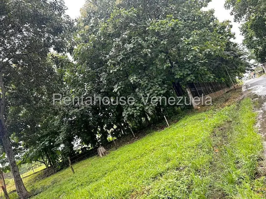 Terreno (Comercial) en Venta en Ciudad Bolivia, Barinas - 20