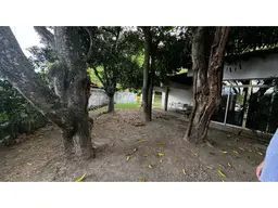 Vista 5