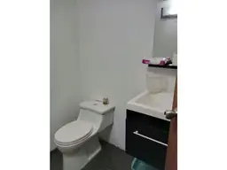 Vista 20