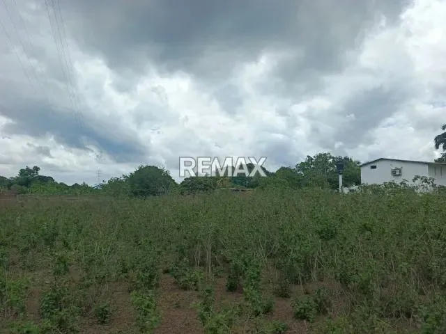 VENDO TERRENO DE 3.700 MTS2 - 4