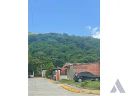 View 14