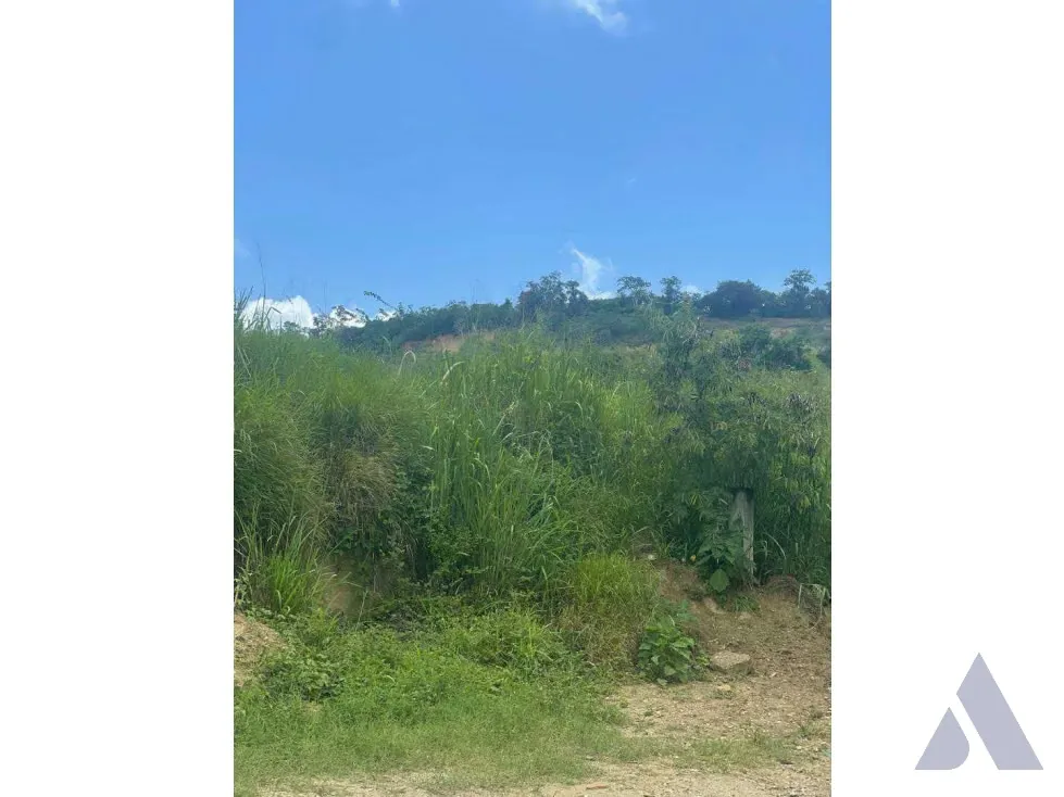 Vendo terreno 45.000m2 Guatire 0825 - 8
