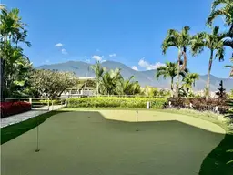 Vista 29