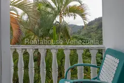 View 18