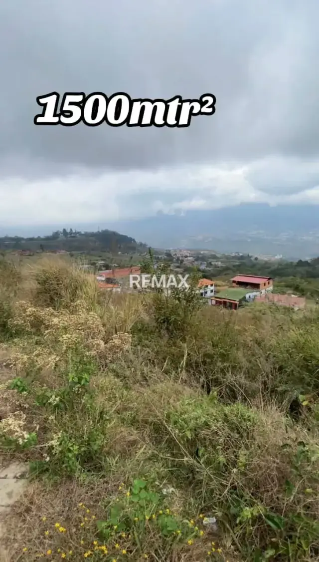 Terreno en Venta - Palmira (entrada directa por Palmira y vía a Caneyes).