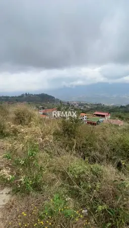 View 4