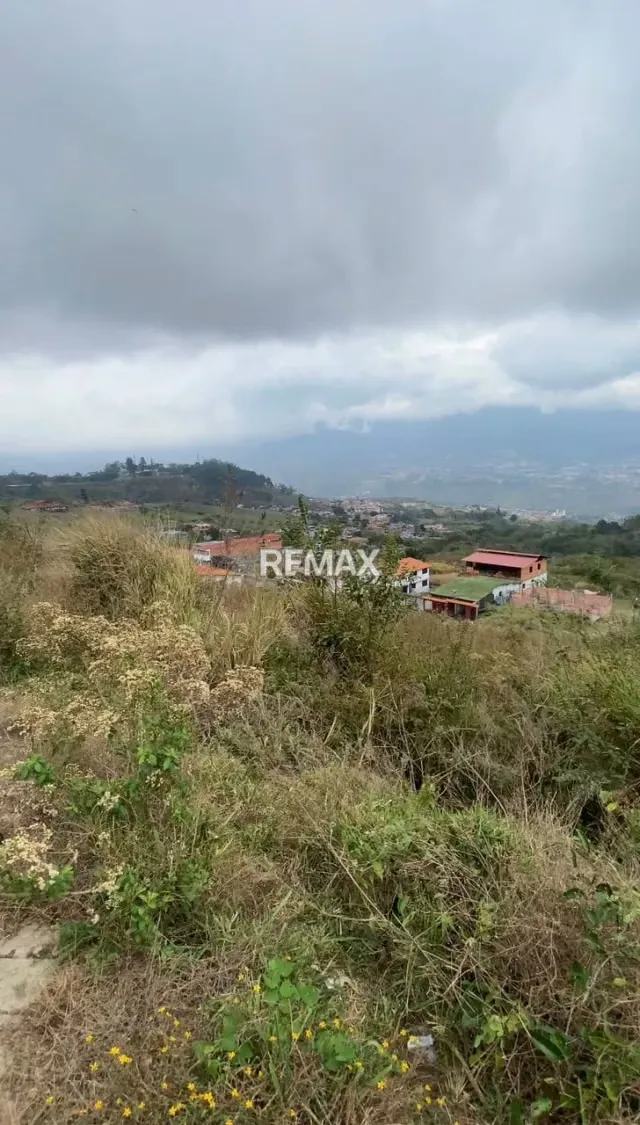 Terreno en Venta - Palmira (entrada directa por Palmira y vía a Caneyes). - 6