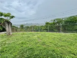 View 5