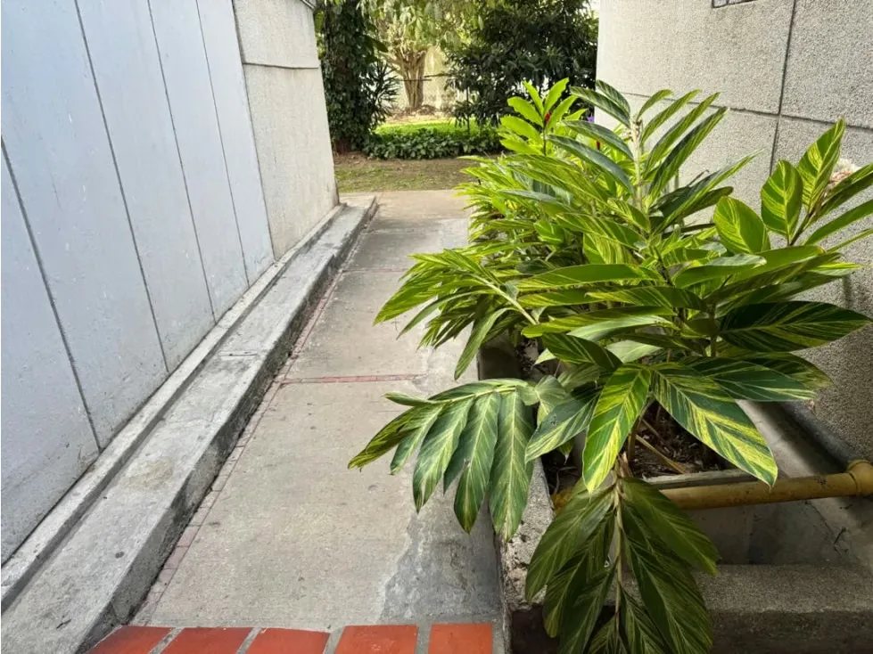 Apartamento en alquiler en Baruta - 27