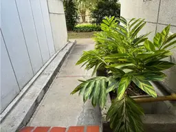 View 27