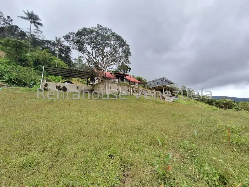Terreno (Comercial) en Venta en La Colonia Tovar, Aragua - 11