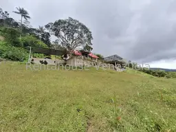 Vista 11