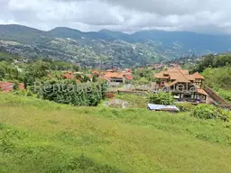 Vista 12